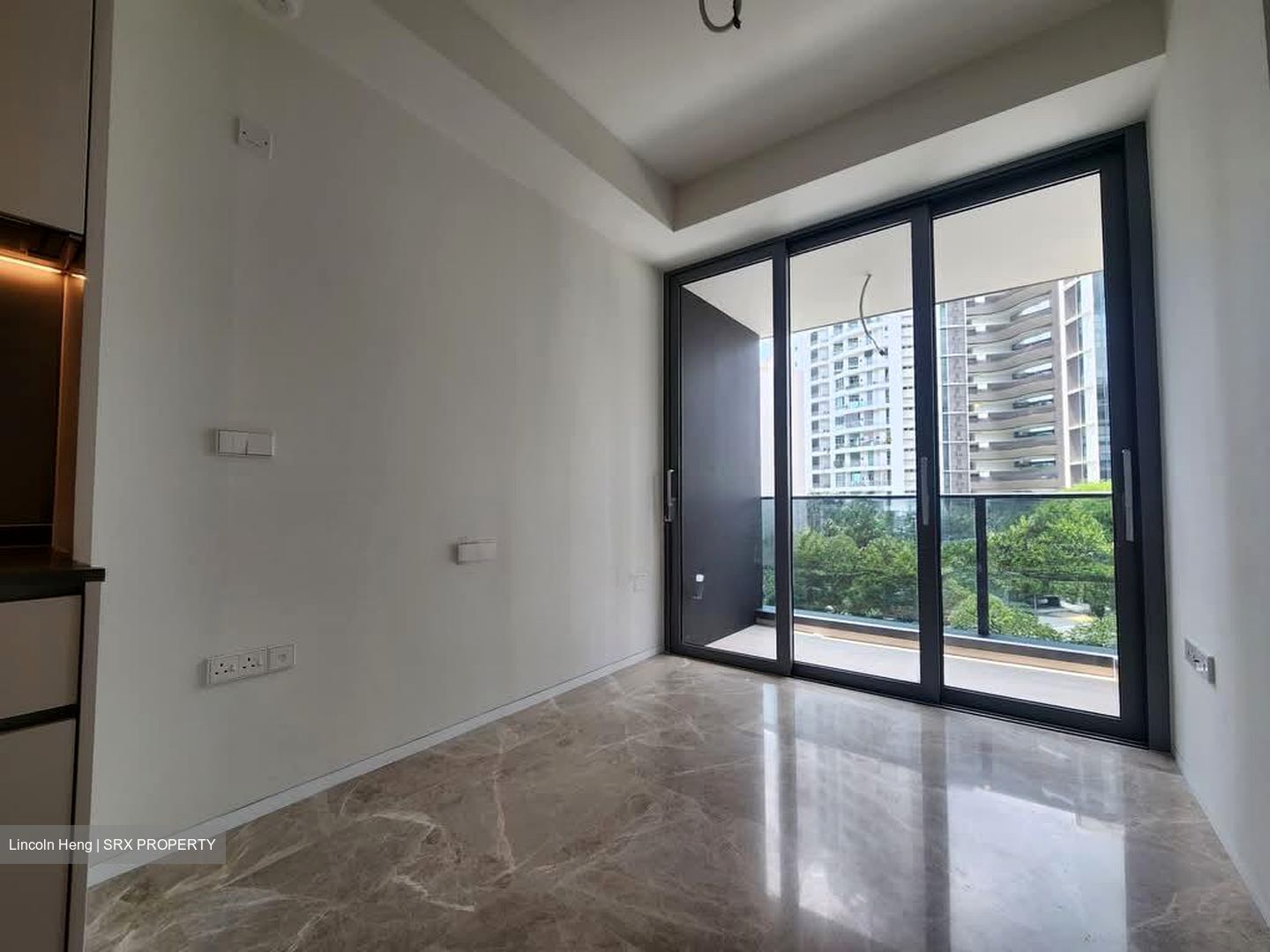 Amber Park (D15), Condominium #611924991